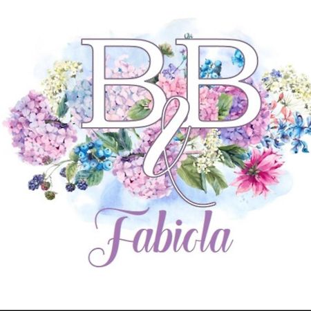Fabiola B & B Marino Eksteriør bilde